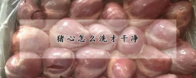 豬心怎麼洗才幹淨