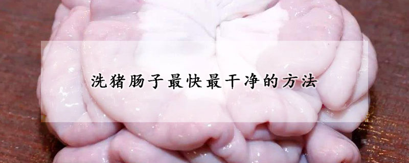 洗豬腸子最快最幹淨的方法