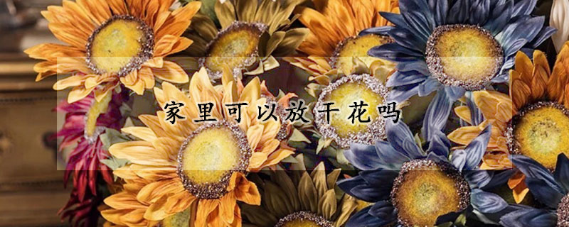 家裏可以放幹花嗎