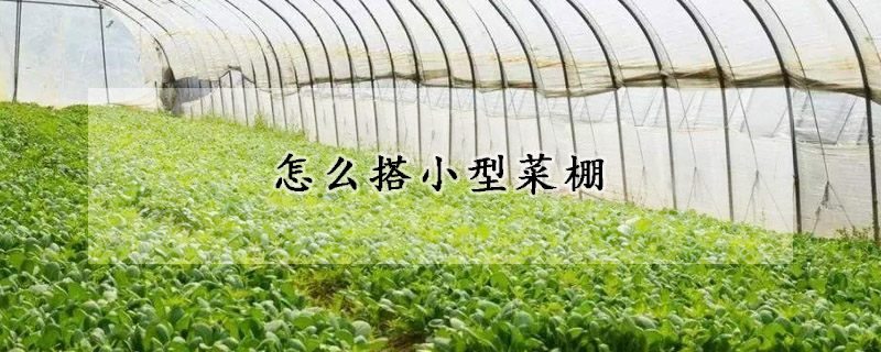 怎麼搭小型菜棚