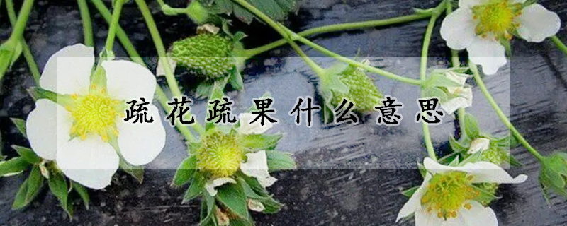 疏花疏果什麼意思