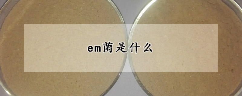 em菌是什麼