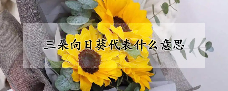 三朵向日葵代表什麼意思