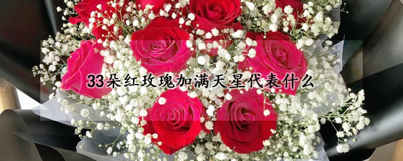 33朵紅玫瑰加滿天星代表什麼