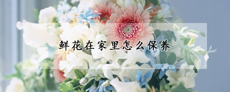 鮮花在家裏怎麼保養