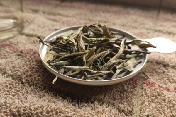 白茶是綠茶還是烏龍茶 白茶是什麼茶