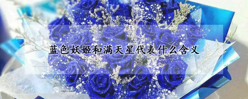 藍色妖姬和滿天星代表什麼含義