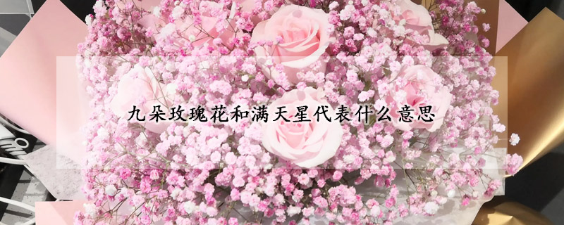 九朵玫瑰花和滿天星代表什麼意思