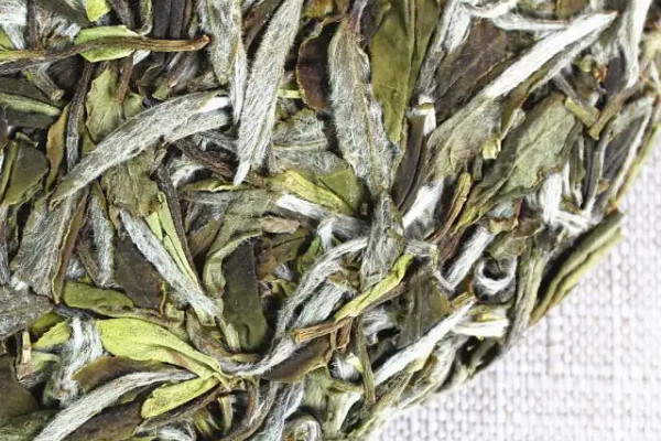 白牡丹福鼎白茶屬於什麼茶 福鼎白牡丹是什麼茶