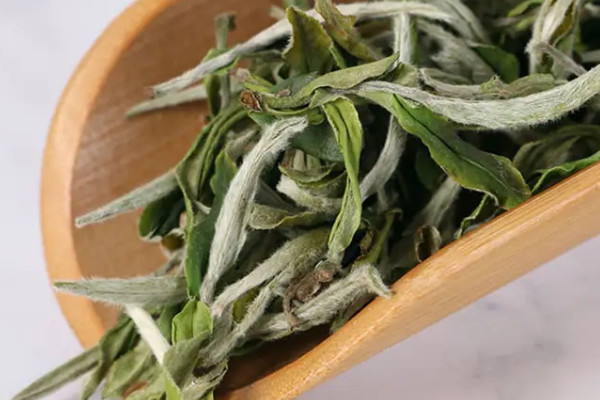 白牡丹福鼎白茶屬於什麼茶 福鼎白牡丹是什麼茶