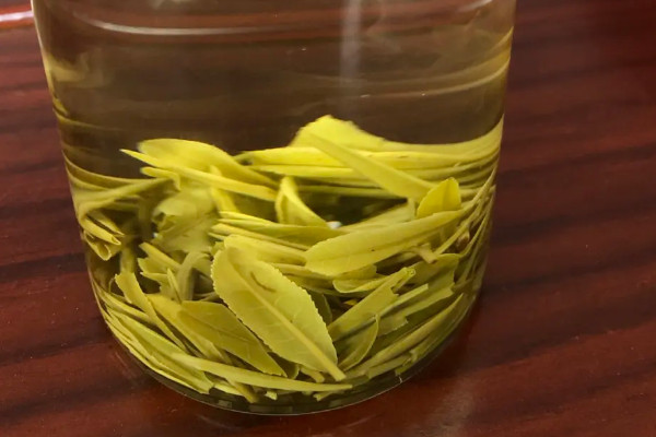 霍山黃芽屬於什麼茶類，霍山黃芽屬於黃茶嗎