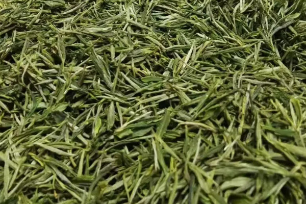 嶽西翠蘭是什麼茶，嶽西翠蘭是啥茶