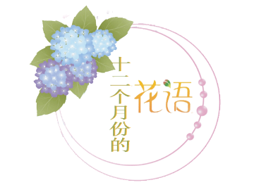 十二個月份的花語 你知道幾個嗎?