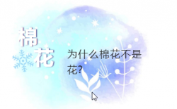 <strong>為什麼棉花不是花-種類解析</strong>