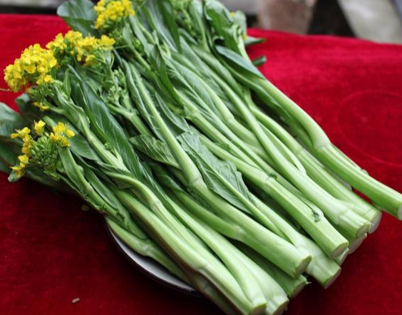 菜心種植管理技術