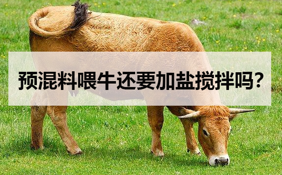 預混料喂牛還要加鹽攪拌嗎？