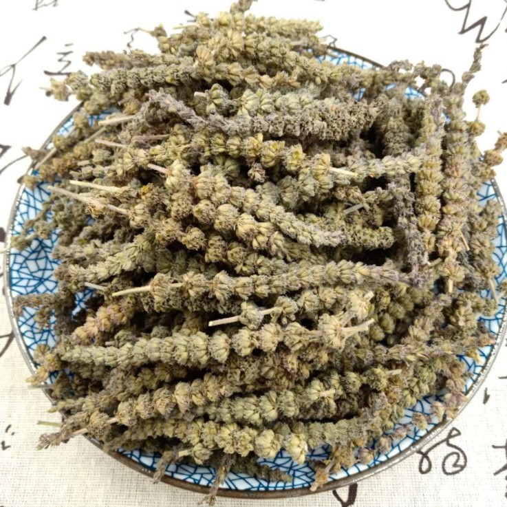 荊芥為什麼叫貓薄荷呢？有什麼藥用價值？