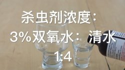 <strong>雙氧水在菜園花園裏有哪些用途？</strong>