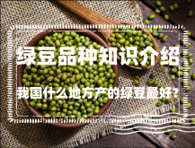 <strong>我國什麼地方產的綠豆最好？綠豆品種知識介紹</strong>