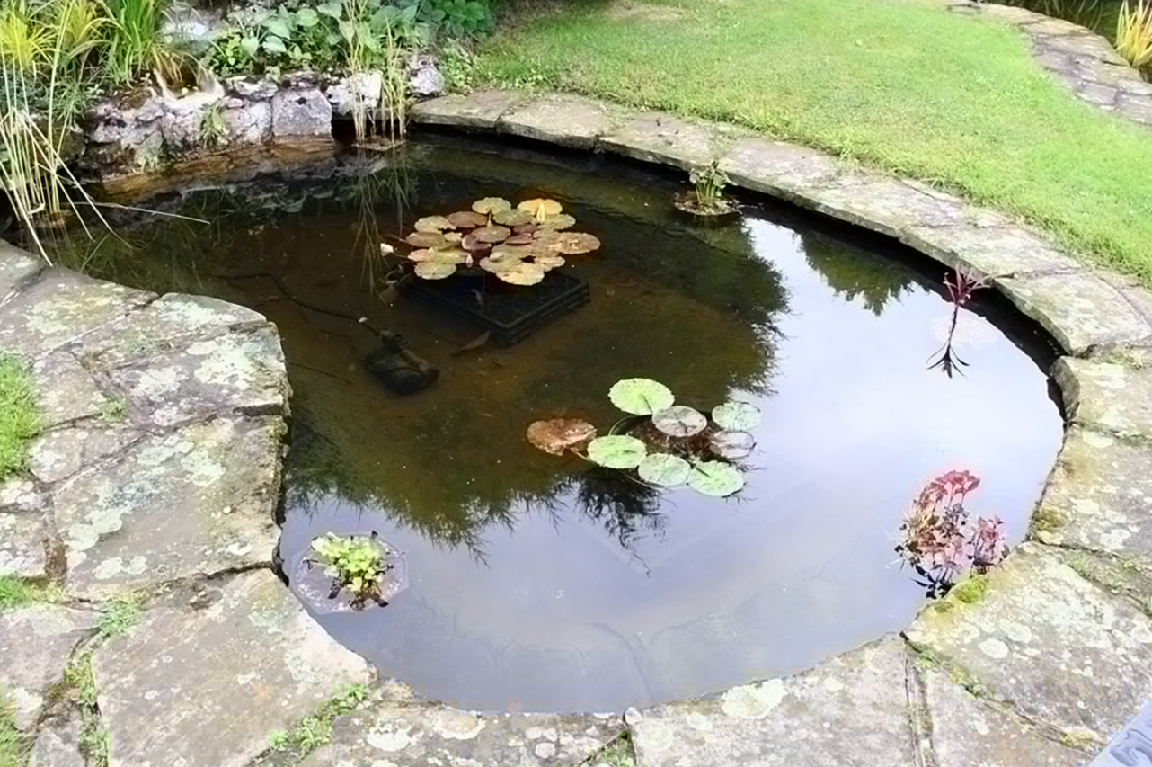 水產養殖中，池塘水pH值的重要性