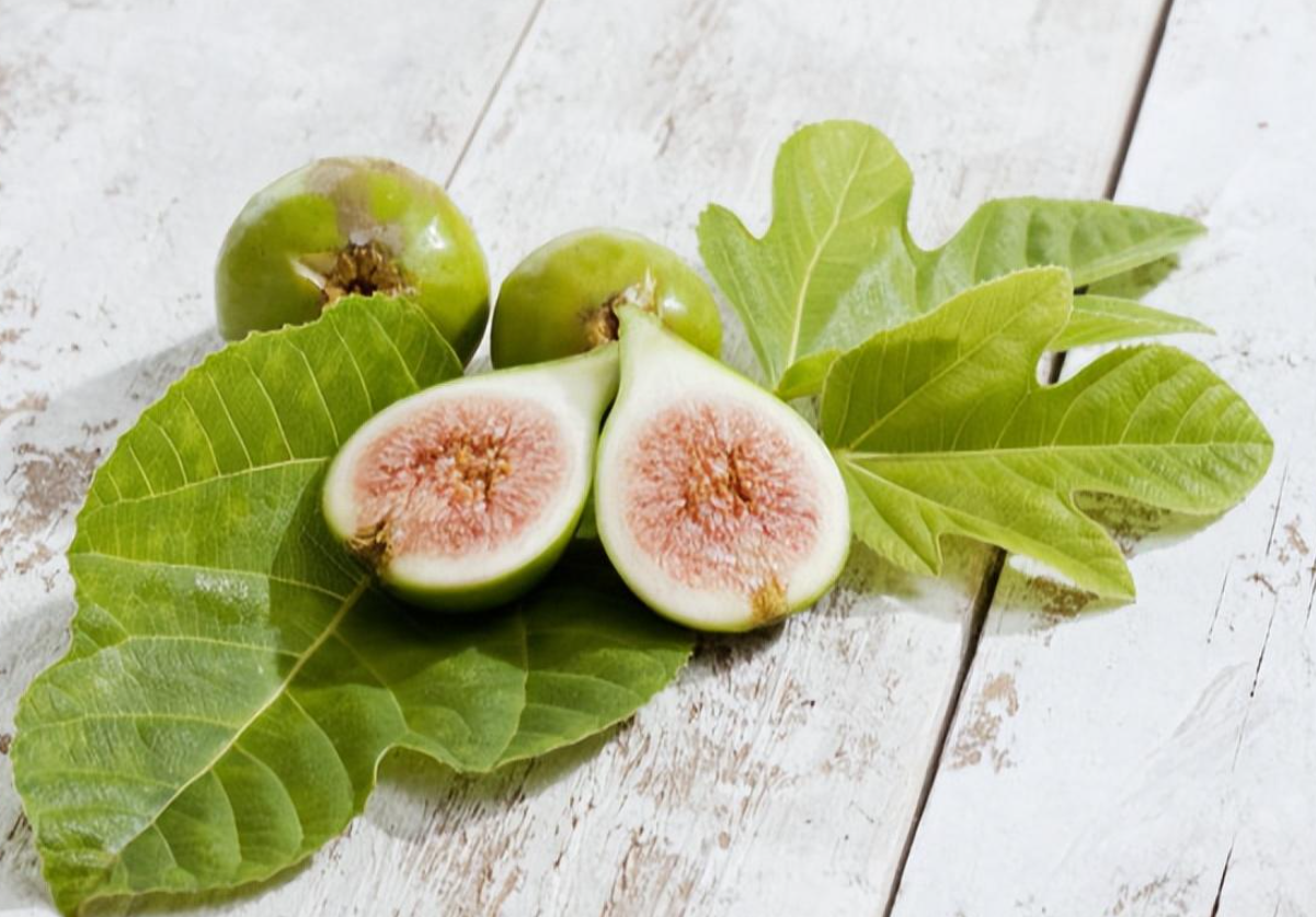 無花果特點及生長習性介紹