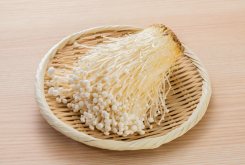 <strong>金針菇的種植方法介紹</strong>