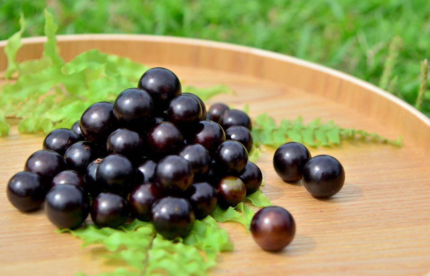 中國葡萄產業的現狀和特點介紹