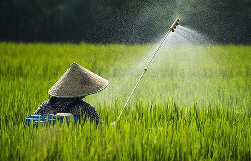 消滅蚧蟎需要什麼農藥，會產生抗藥性嗎?