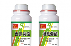 <strong>溴氰菊酯可以消滅蟑螂嗎，使用過程中需要注意什麼?</strong>