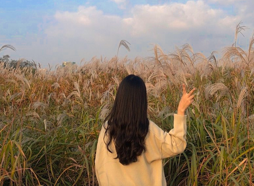 紫芒如何進行分株繁殖，如何進行操作?