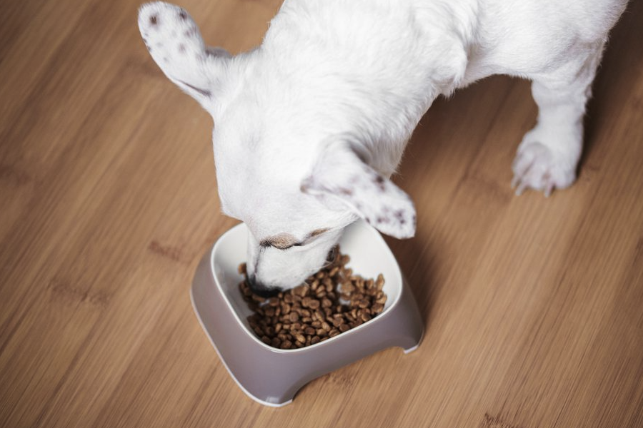 飼料中的初水和結合水有什麼特點和區別？