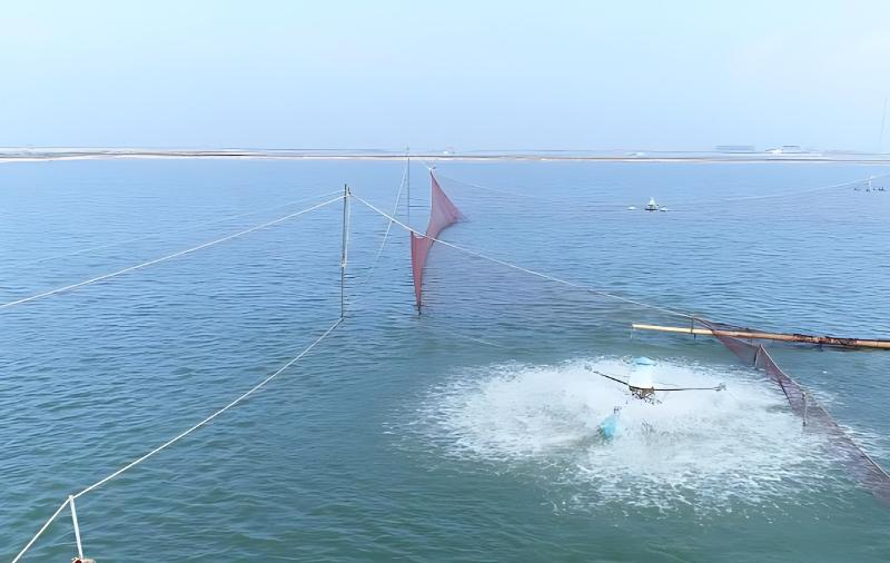 夏季高溫天氣池塘養魚管理措施及注意事項