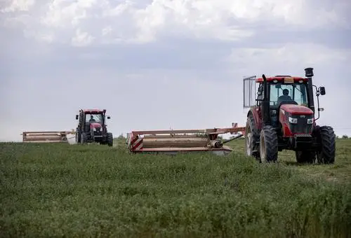 <strong>牧草收割機各類機型的優勢，找出最適合你的收割夥伴！</strong>