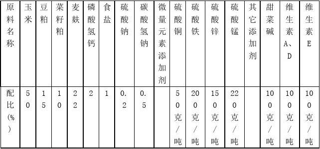 肥牛速成法：育肥牛飼料配方解析，通過精準營養配比加速生長實現經濟效益。