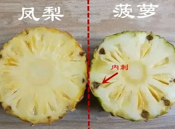 <b>菠蘿和鳳梨的隱藏區別，教你一眼分辨雙胞胎的實用技巧</b>