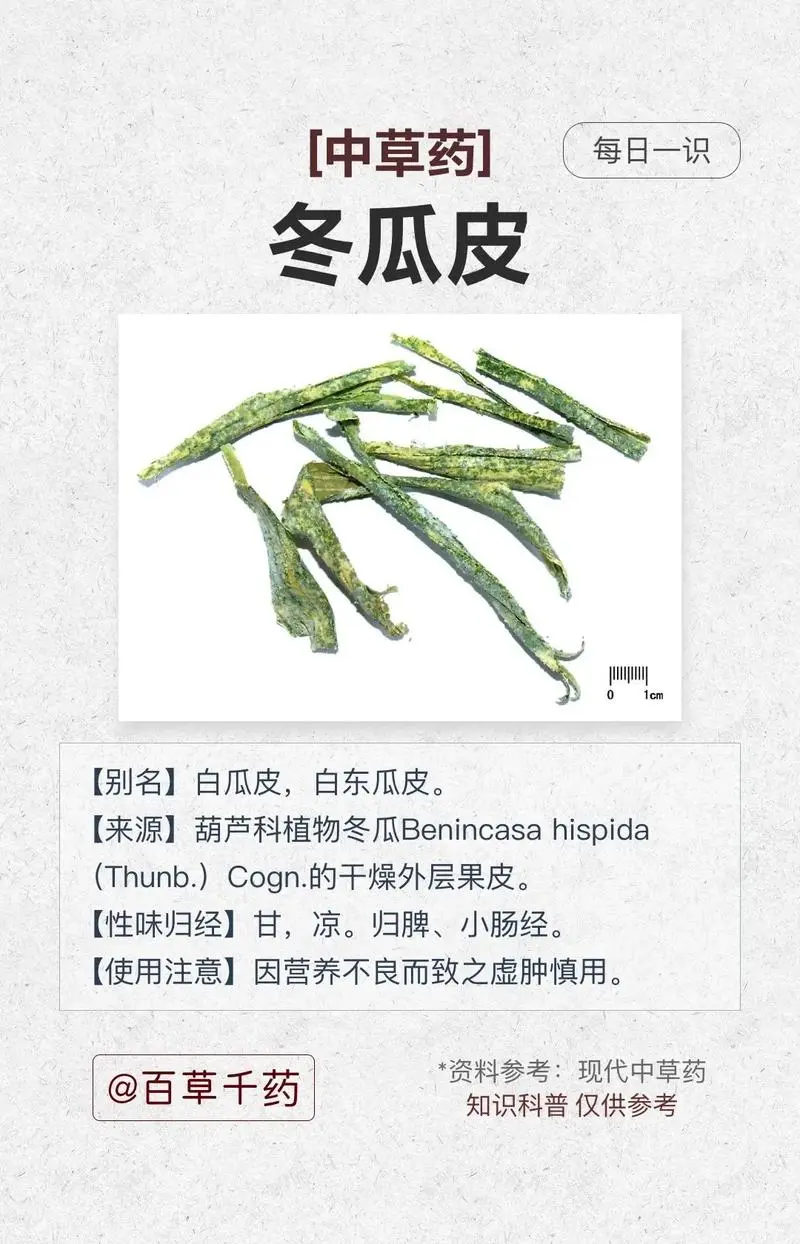 冬瓜皮的功效與作用不容小覷-清熱解毒，利尿消腫的天然良方