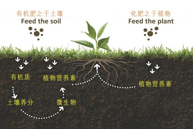 有機質肥料全解析：從動物糞便微生物到農作物秸稈，多元化補充土壤養分