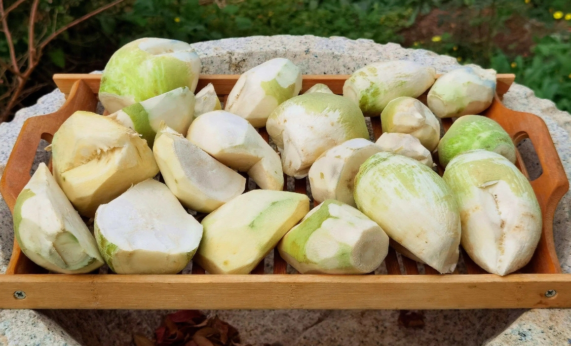 芥菜長什麼樣子？芥菜圖片色彩斑斕形態大全。