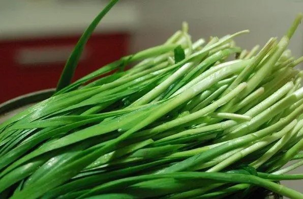 韭菜怎麼吃最有營養？五種吃法讓營養翻倍