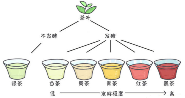 綠茶清新VS紅茶醇厚：誰才是你心中的茶葉王者？