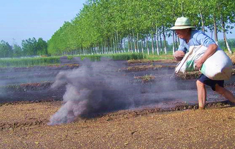 告別化肥依賴-農家草木灰如何變身高效肥料？